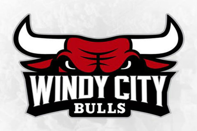 chicago bulls d league team badge11
